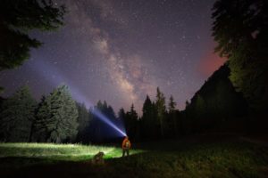 starry night sky above a forest where a person is wearing a head lamp and looking up